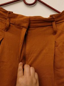 Stylish Rust Colored Pleated Trousers