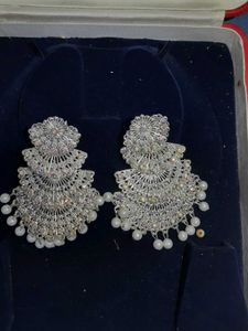 Elegant Silver Tone Earrings