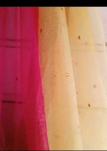 Saree With Choli