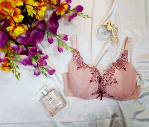 🇳🇿💫🎀Lace Trimmed Pink Bra