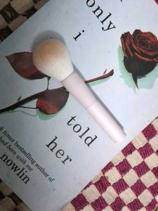 etude house soft brush(bought in korea)