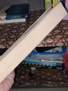 The Colour of Bee Larkham's Murder