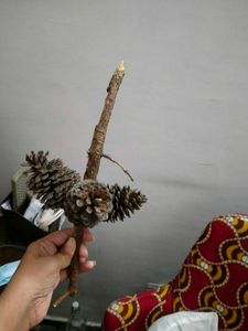 Christmas Tree Pine Cone