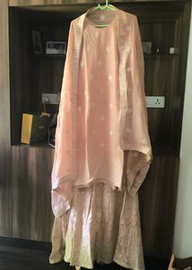 Elegant Peach Lehenga Choli