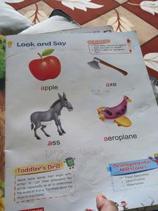 English Alphabet Book for Kids