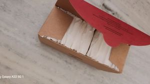 250 Panty Liner