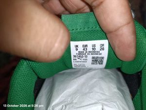 Puma turino ii sd