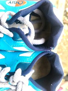 OGY Blue &amp; White Sneakers