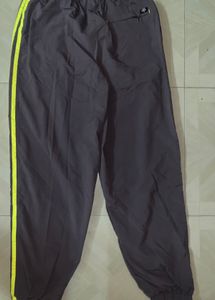 Track Pant With Stripes