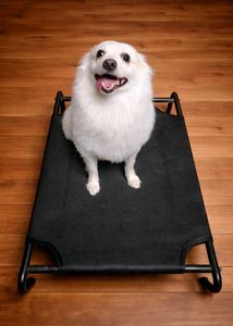 Happy Paws Comfort Bed