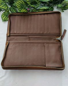 Livia Brown Plain Wallet (Women)