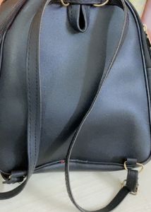 Black Teddy Bag 🖤🐼