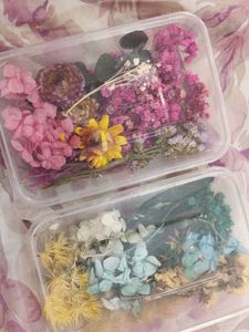 Dried Flower Craft Kit( Resin)
