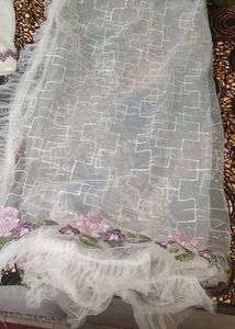 Pakistani Suit With Net Dupatta