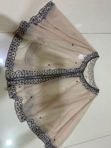 Embellished Net Dupatta