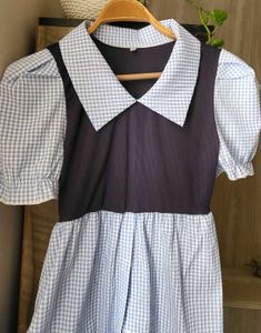 Cute Gingham Collared Dress