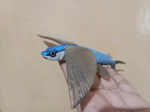 Flying Fish Toy