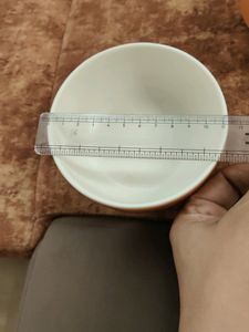 Two Melamine Bowl