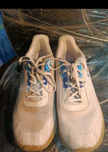 'Campus' White Sneakers