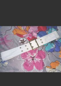 🎀 Y2K AESTHETIC BELT✨sale