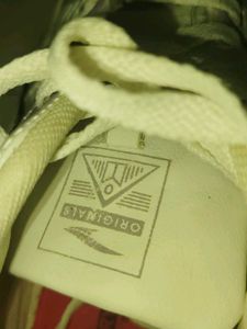 casual and sports shoe