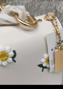Coach Daisy Chain Shoulder Bag