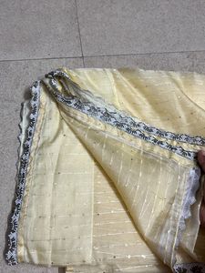 Elegant Embellished Saree