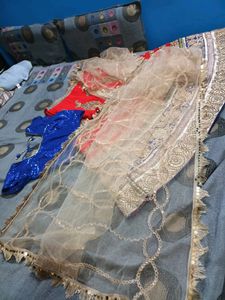 Wedding Season Special Lehanga