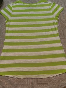 Woodland Striped V-Neck T-Shirt