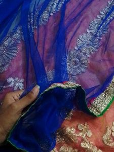 New Net Lehanga With Choli