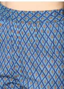 Blue Printed Kurta Set with Dupatta