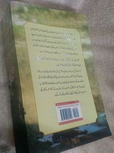 Jannat Ke Pattay Novel