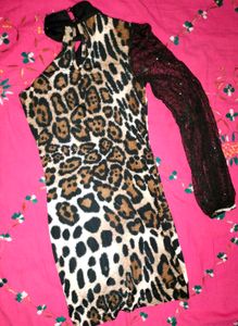 Leopard Print Mini Dress