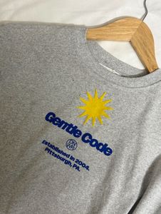 ZARA cropped embroidered Tshirt