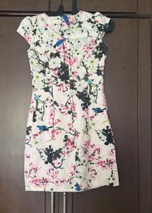 Floral Bird Print Dress