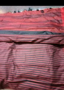 BrandNew GunturHandloom Saree with Striped Pallu