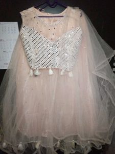 Beautiful Sequined Lehenga Choli