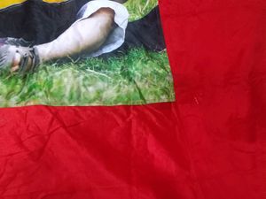 Diiwali  bedsheet with pillows