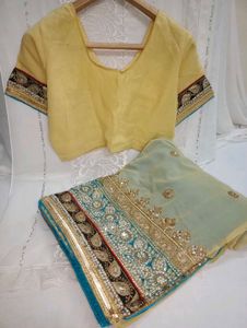 Elegant Embellished Saree & Blouse