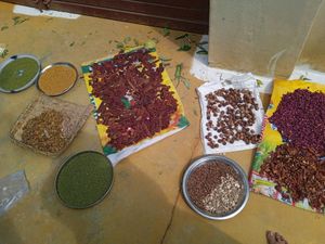Homemade Shampoo Powder