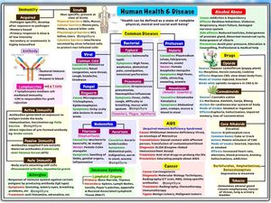NEET Biology MindMaps