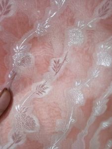 Peach Saree with Stiched Blouse