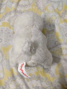 Cute White Teddy Bear