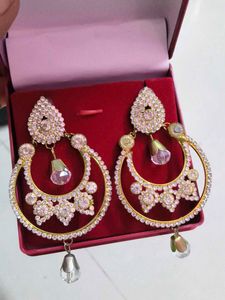Stunning Crystal Hoop Earrings
