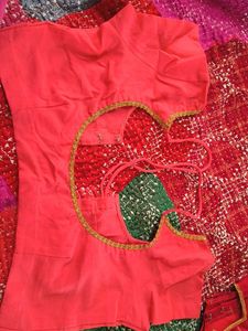 Coral Pink Blouse with Gold Border