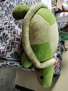 Soft Toy Tortoise