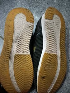 Sparx Men's Green Running Shoes