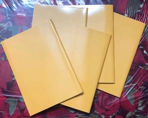 SET OF 3 INTERLEAVED NOTEBOOKS FOR SALE