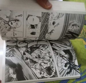 One-Punch Man, Vol. 1 Manga