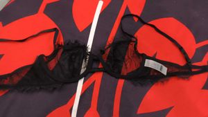 Net Transparent Bra 32B